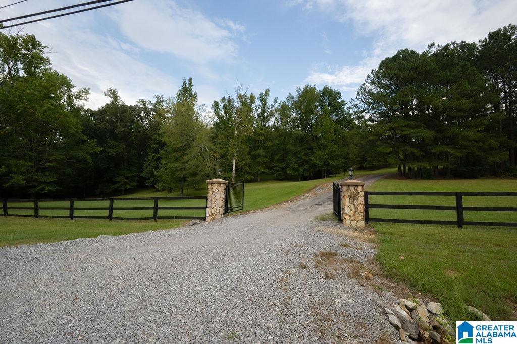 56230 North Highway 231 Oneonta, AL 35121 - Photo 14 of 62