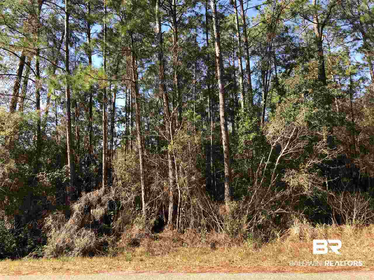 8651 Bay Harbor Road Elberta, AL 36530 - Photo 4 of 12 Street View