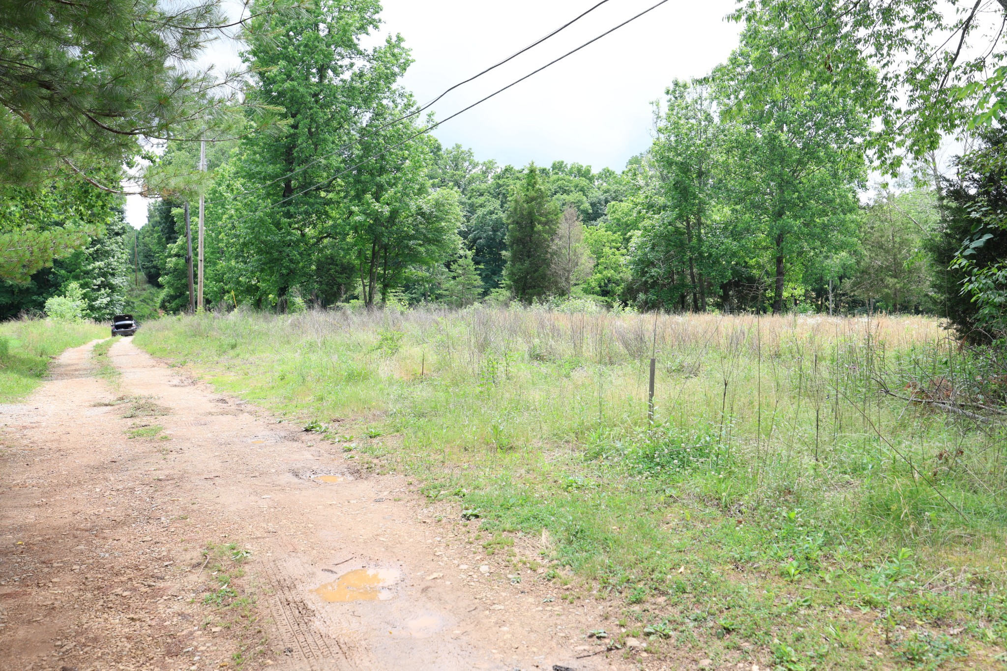 5 Poplar Ridge Lane Chapmansboro, TN 37035 - Photo 21 of 34 a view of a yard with a tree