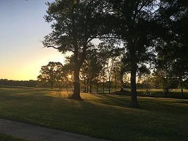 0 Hal Sutton Drive Haughton, LA 71037 - Photo 2 of 7