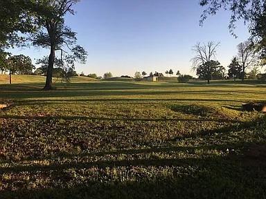 0 Hal Sutton Drive Haughton, LA 71037 - Photo 3 of 7