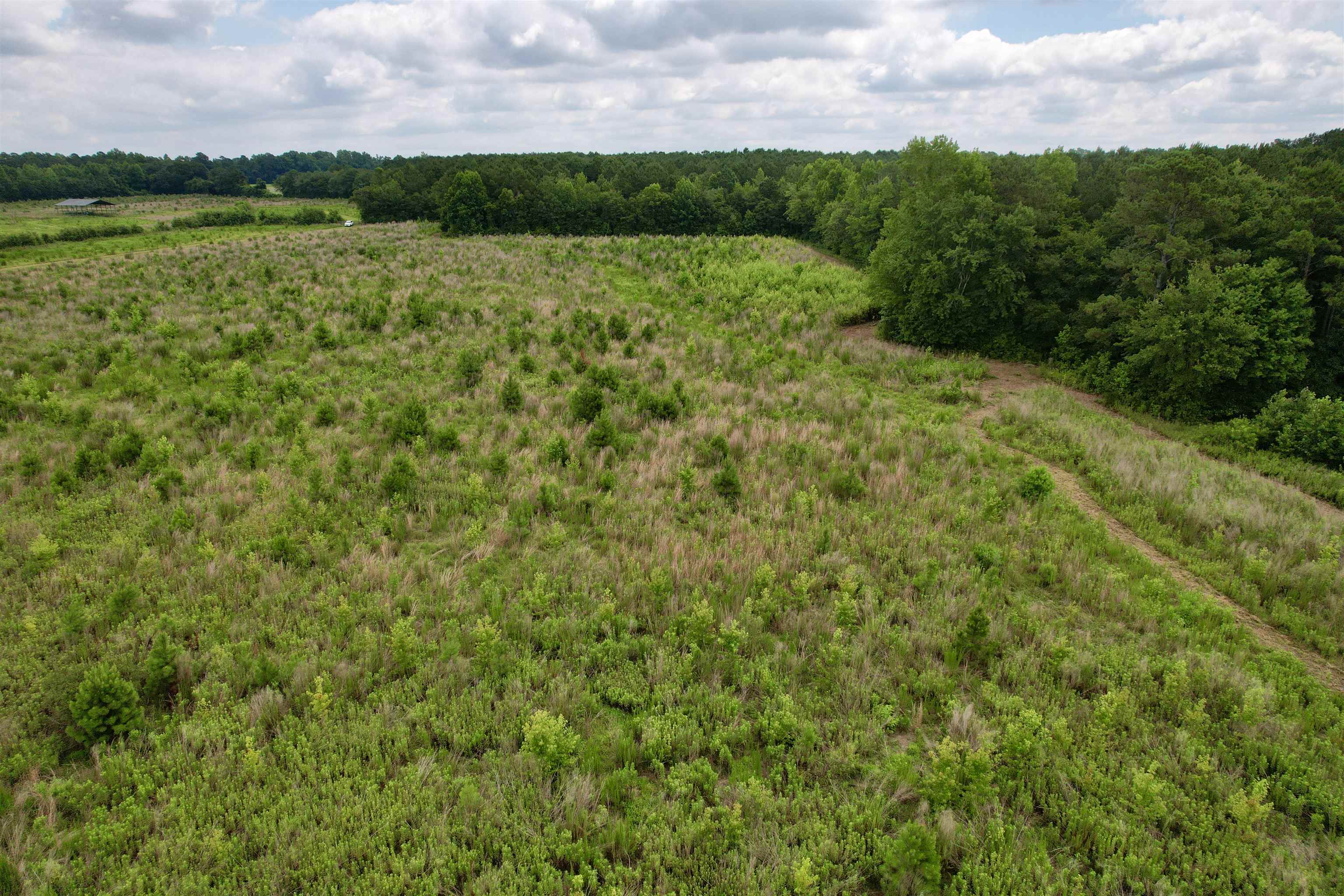 0 Powell Rd Green Green Sea, SC 29545 - Photo 50 of 72