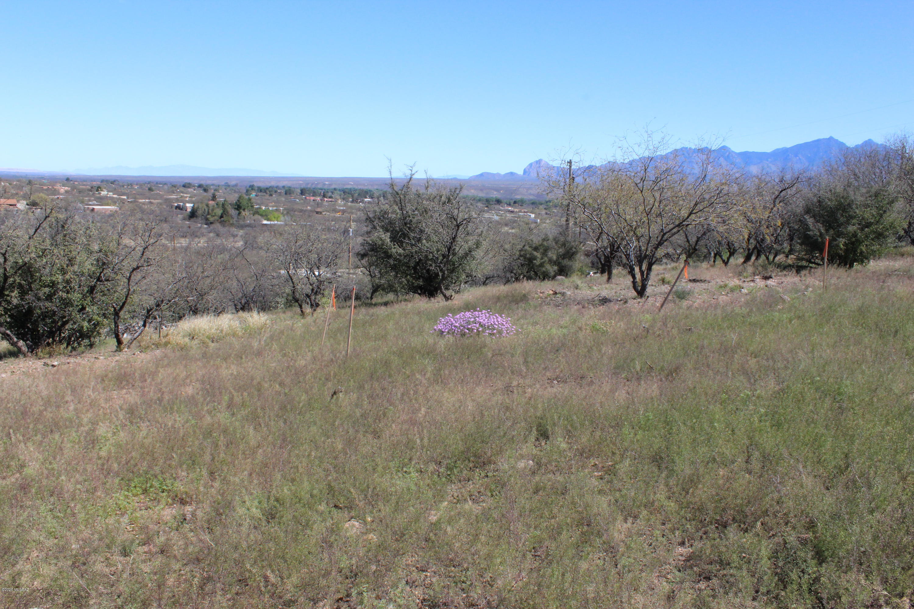 29 Ridge Court, Unit 6 Tubac, AZ 85646 - Photo 11 of 22