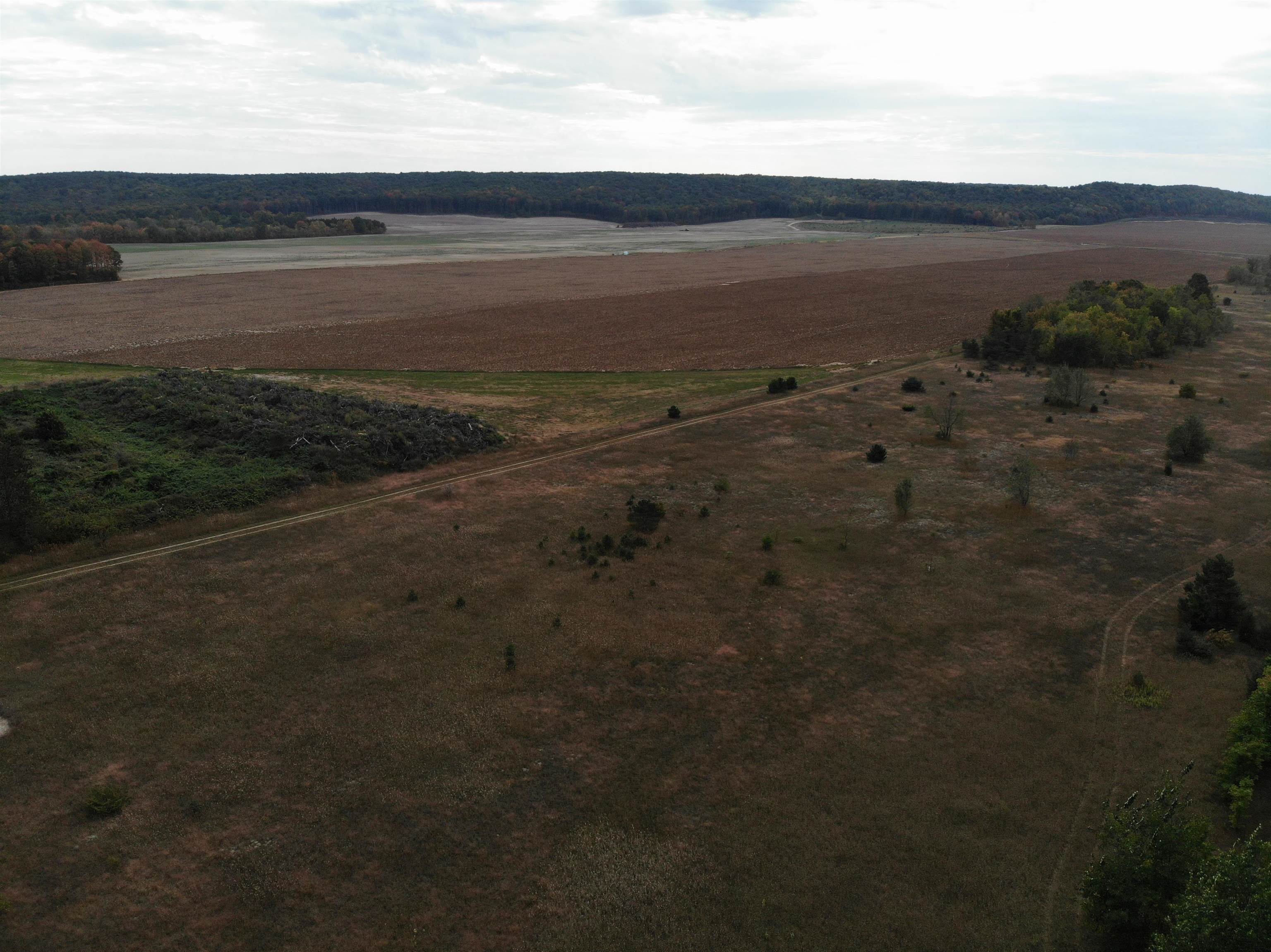 8620 Francis Road Elmira, MI 49730 - Photo 15 of 20