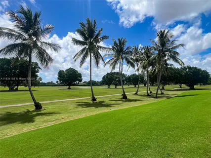 a view of a garden with a large tree