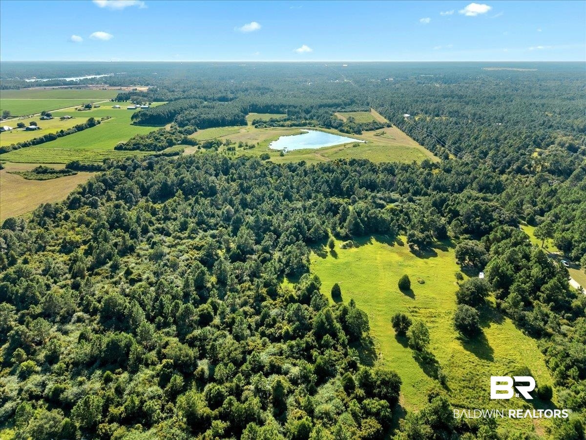 0 Stucki Road Elberta, AL 36530 - Photo 14 of 15 Bird's eye view of a forest and a nearby body of water