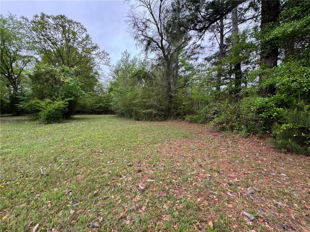 280 Owens Road Fort Mitchell, AL 36856 - Photo 34 of 56 View of green lawn