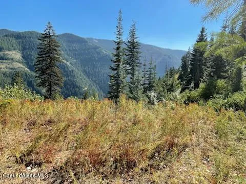 $138,800 | 34.38 Acres Road, Wallace, ID 83873