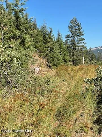 $138,800 | 34.38 Acres Road, Wallace, ID 83873