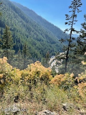 34.38 Acres Road Wallace, ID 83873 - Photo 26 of 37 IMG_0932