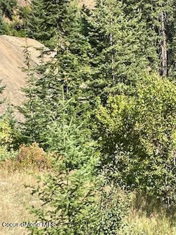 $138,800 | 34.38 Acres Road, Wallace, ID 83873