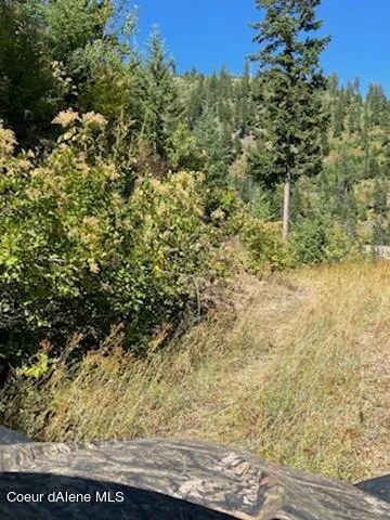 $138,800 | 34.38 Acres Road, Wallace, ID 83873