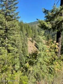 $138,800 | 34.38 Acres Road, Wallace, ID 83873