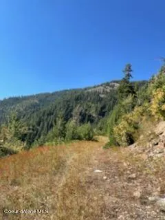 $138,800 | 34.38 Acres Road, Wallace, ID 83873