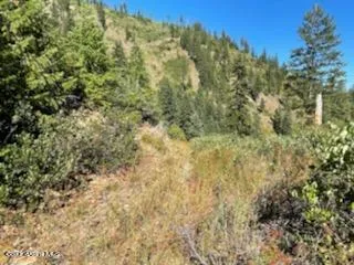 $138,800 | 34.38 Acres Road, Wallace, ID 83873
