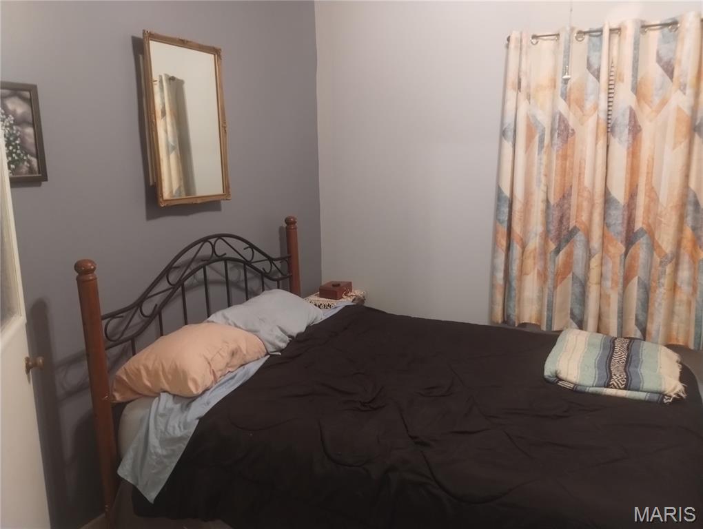 210 Wilson Street Delta, MO 63744 - Photo 22 of 36
