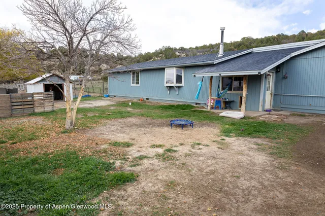 a view of a garden with a tree