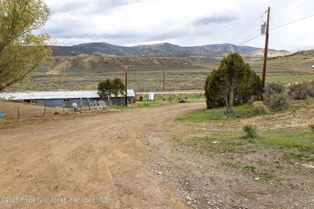 a view of a yard with an trees