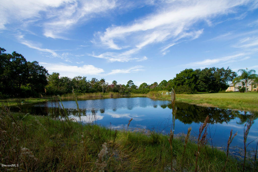1365 Dalbora Road Merritt Island, FL 32953 - Photo 14 of 35 Pond
