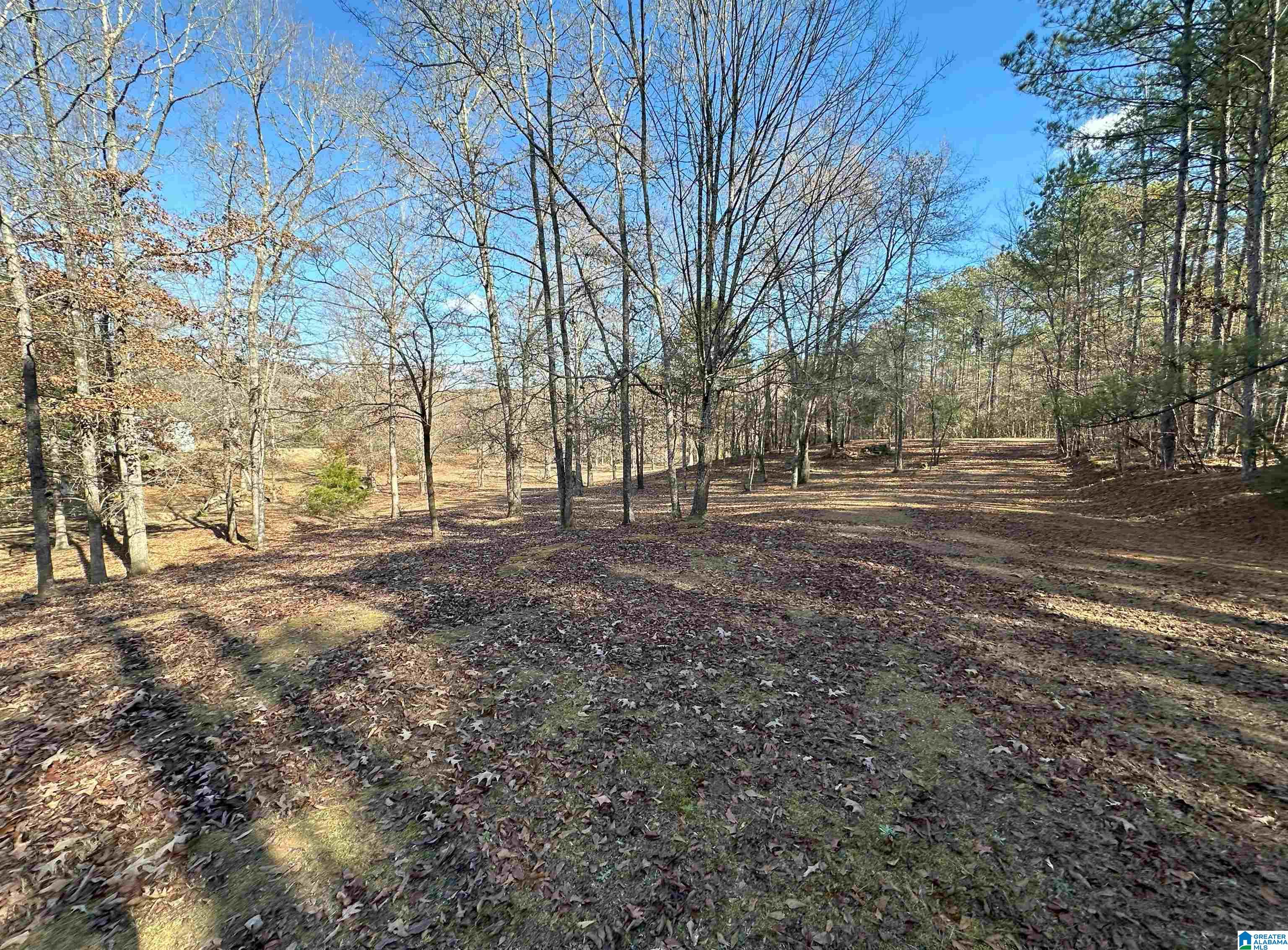 535 Oak Circle Ohatchee, AL 36271 - Photo 16 of 18