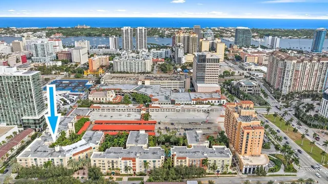a view of a swimming pool with a lawn chairs and palm trees
