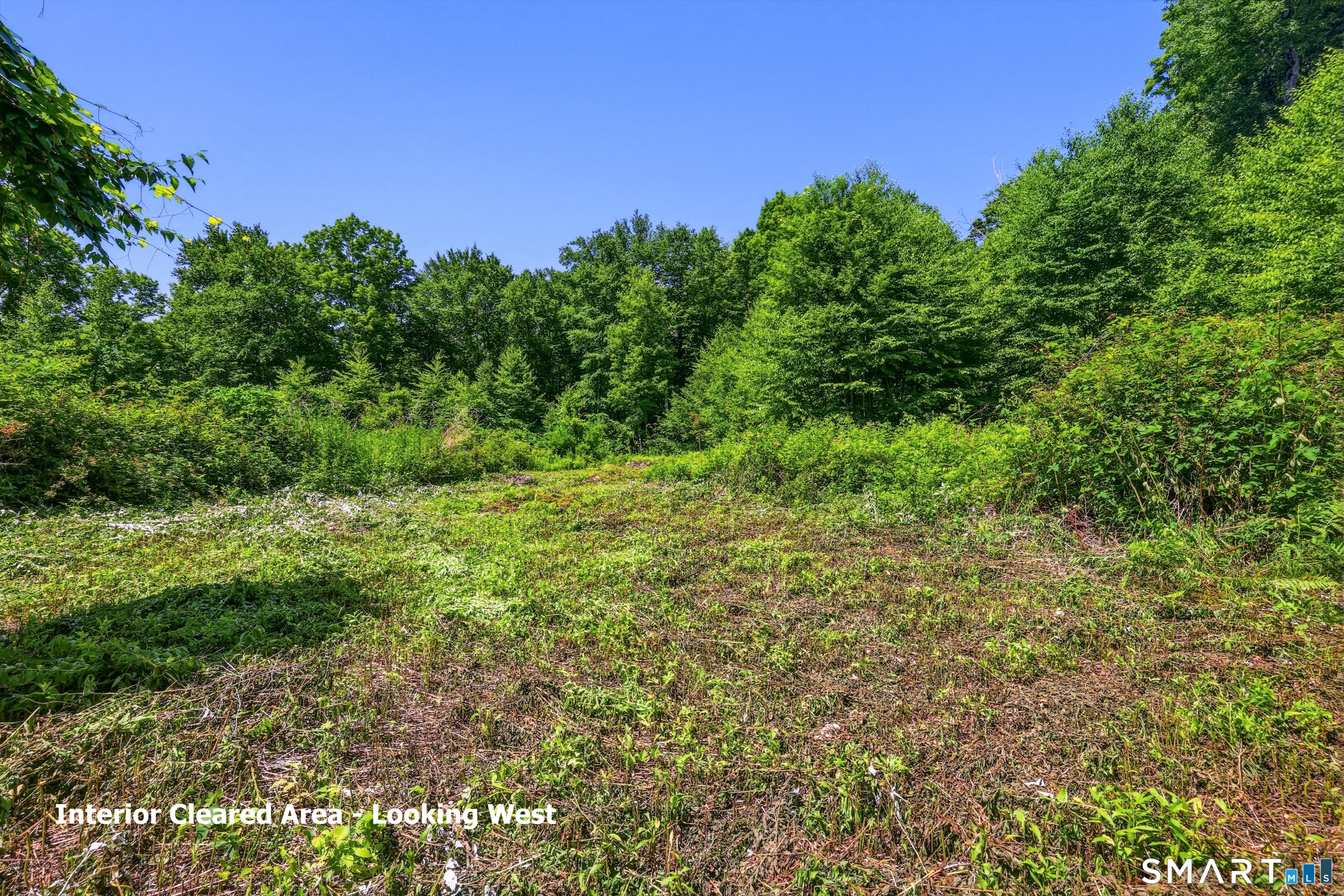 Ashley Road Winsted, CT 06098 - Photo 4 of 19