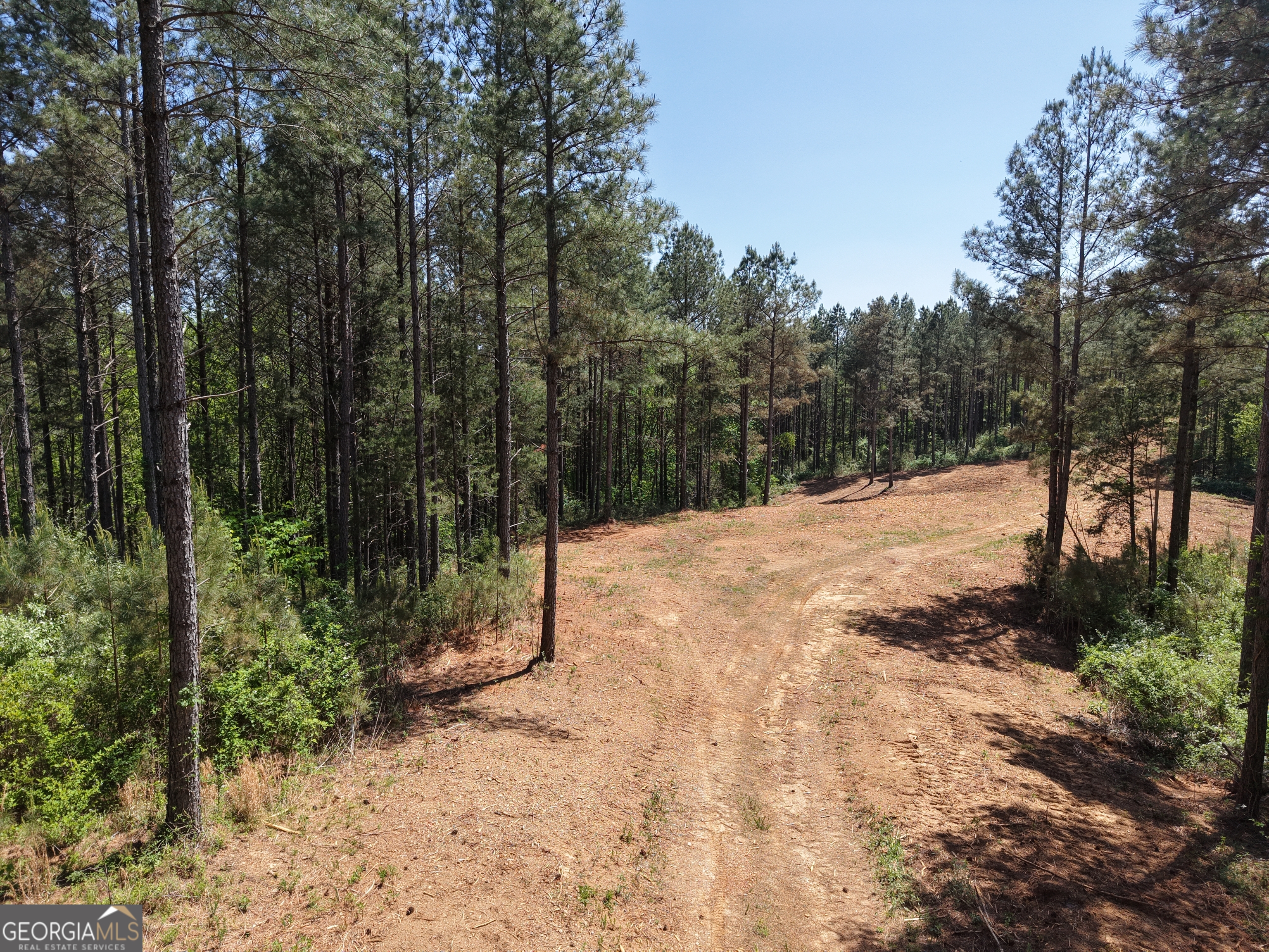 0 Ryo Mountain Road, Unit 9609 Fairmount, GA 30139 - Photo 47 of 87 Gallery Image 47