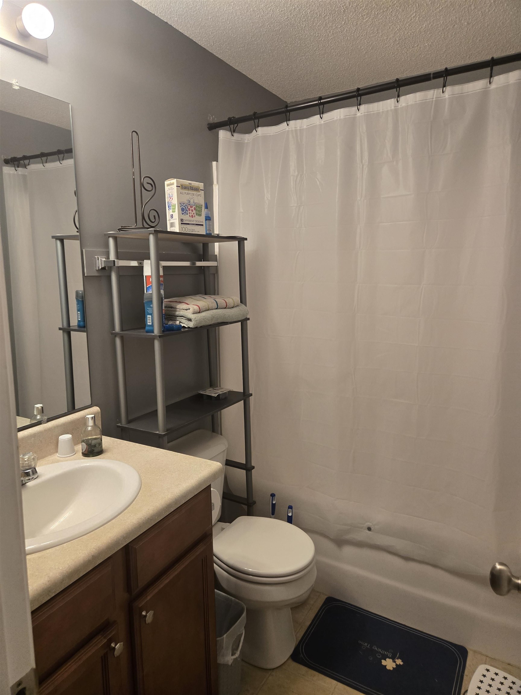 345 Bishop Hicks Court Inman, SC 29349 - Photo 11 of 14