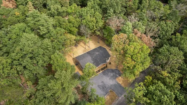 view of a yard with a tree