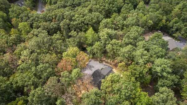 a view of a forest with houses