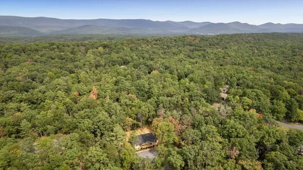 a view of a lush green hillside and a houses