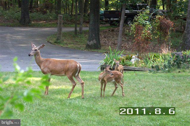 8208 Meehling Road Pasadena, MD 21122 - Photo 8 of 30 View