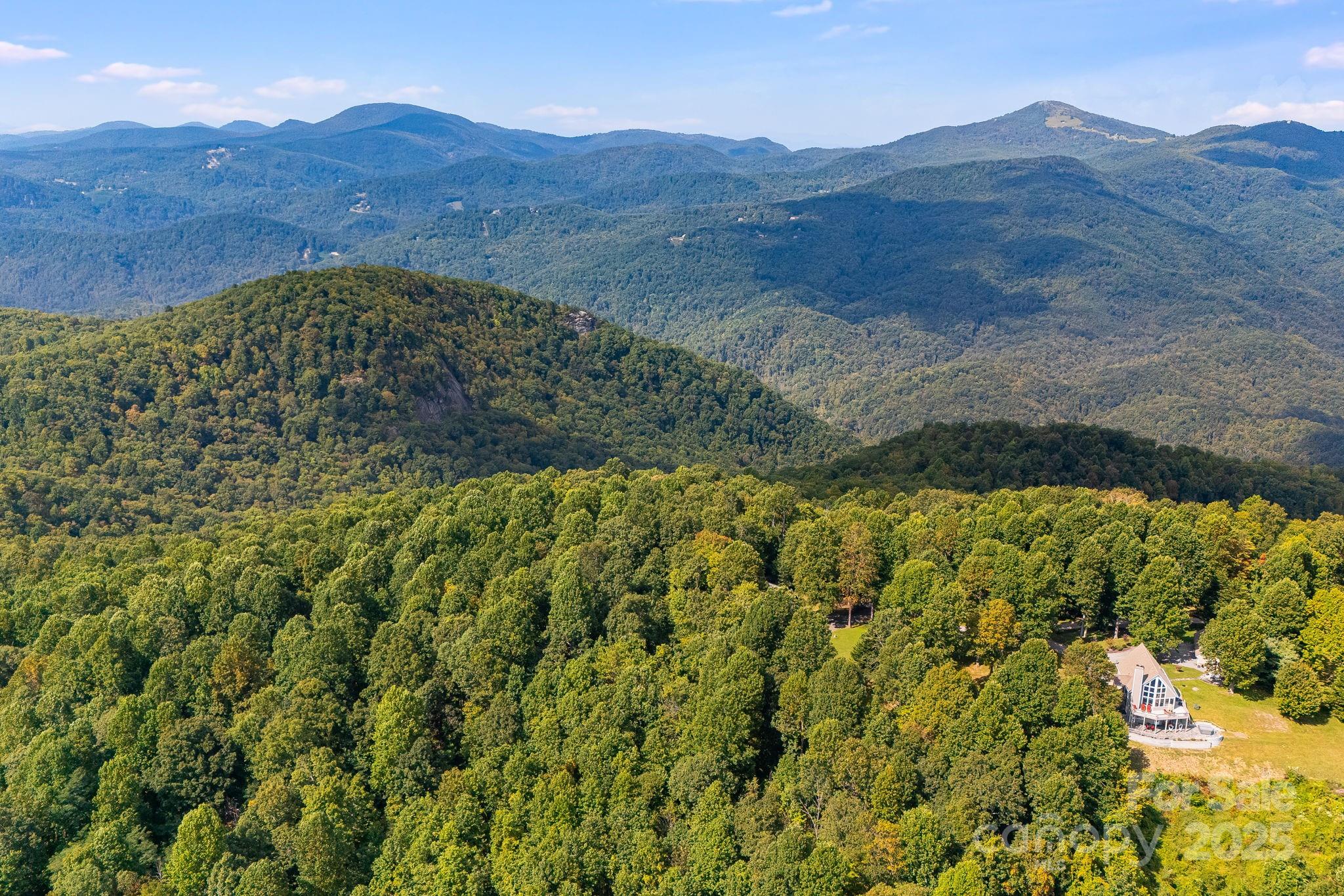 0 Fawns Rest Black Mountain, NC 28711 - Photo 11 of 17