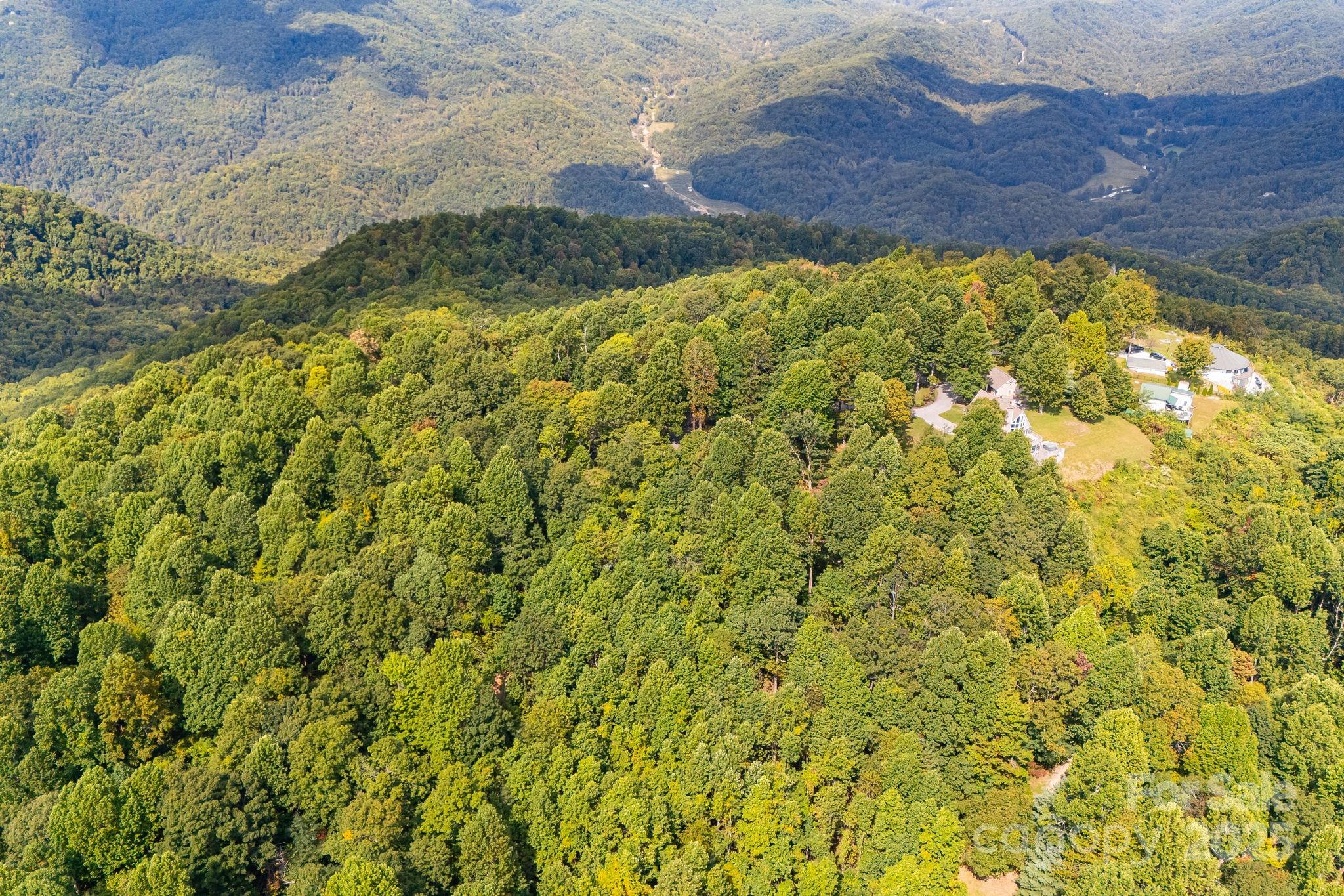 0 Fawns Rest Black Mountain, NC 28711 - Photo 12 of 17