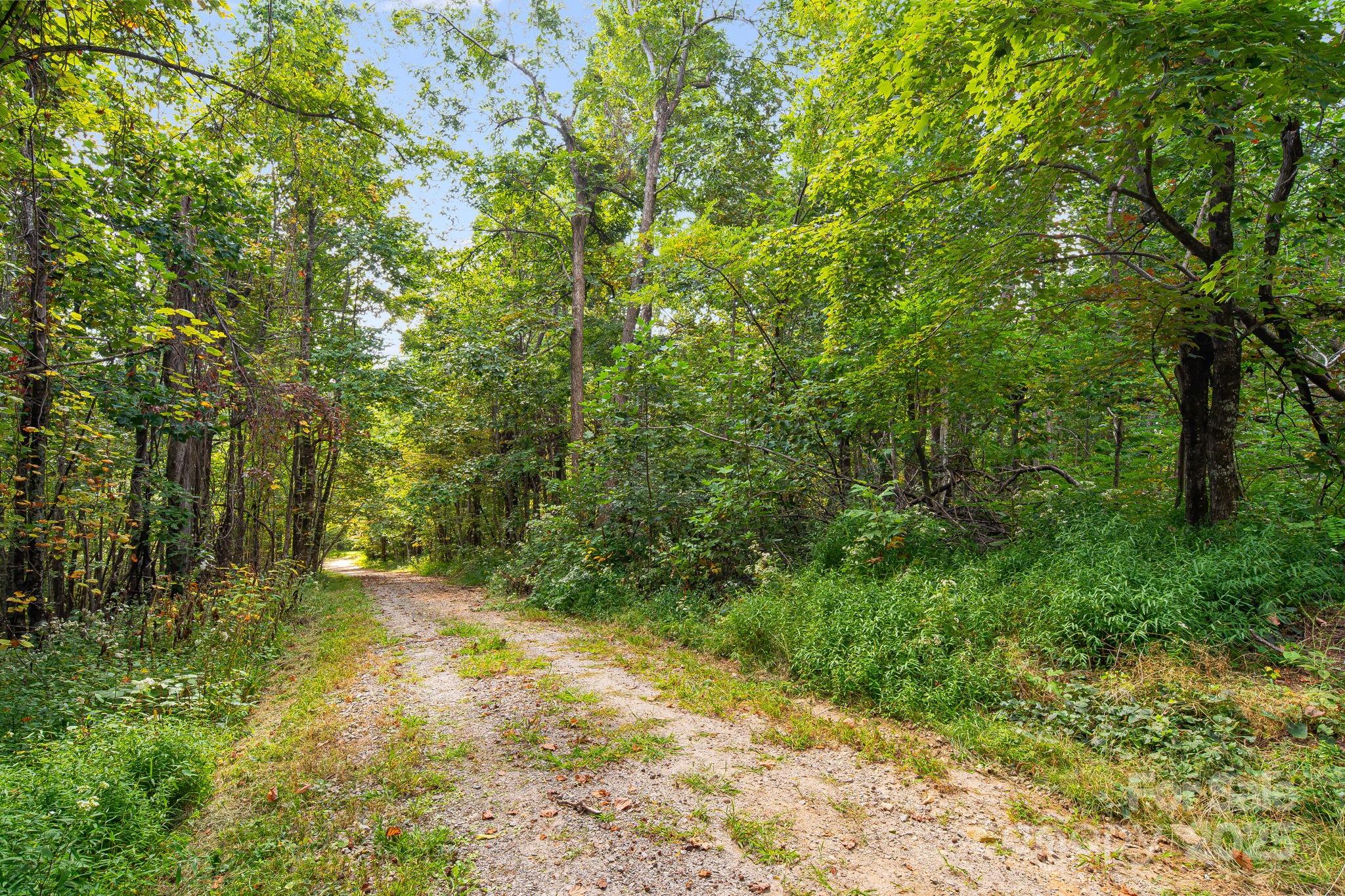 0 Fawns Rest Black Mountain, NC 28711 - Photo 14 of 17