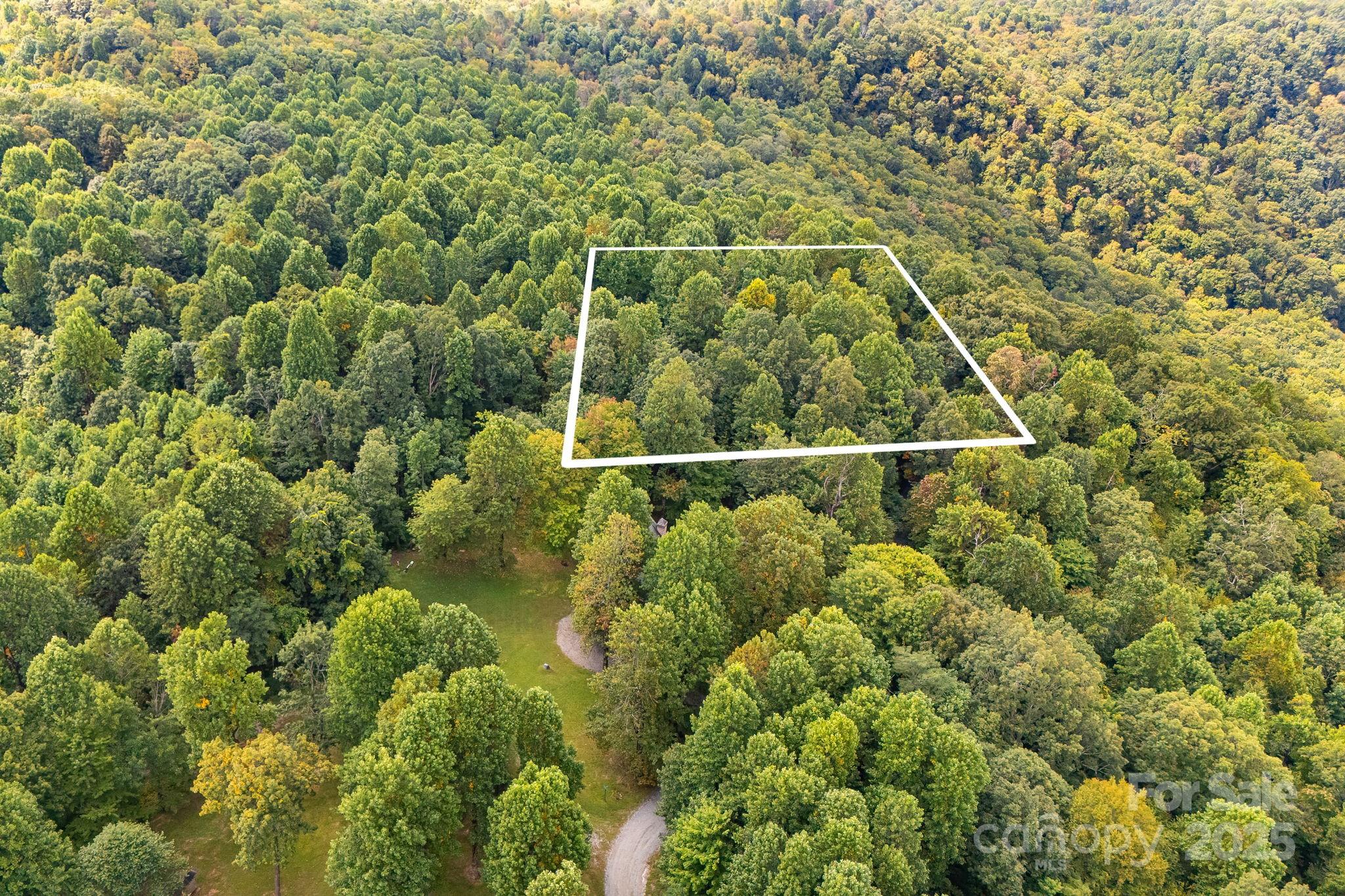 0 Fawns Rest Black Mountain, NC 28711 - Photo 9 of 17