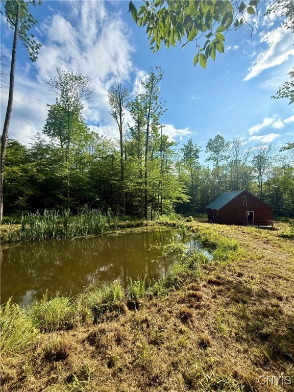 279 Wales Road Sherburne, NY 13460 - Photo 16 of 43