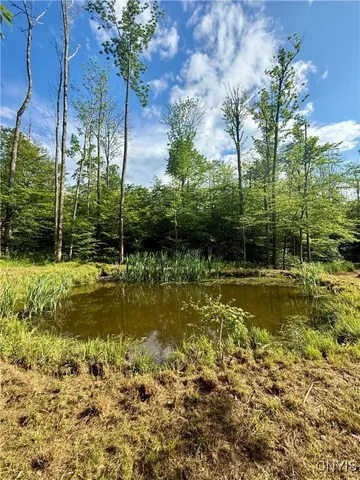 $135,000 | 279 Wales Road, Sherburne, NY 13460