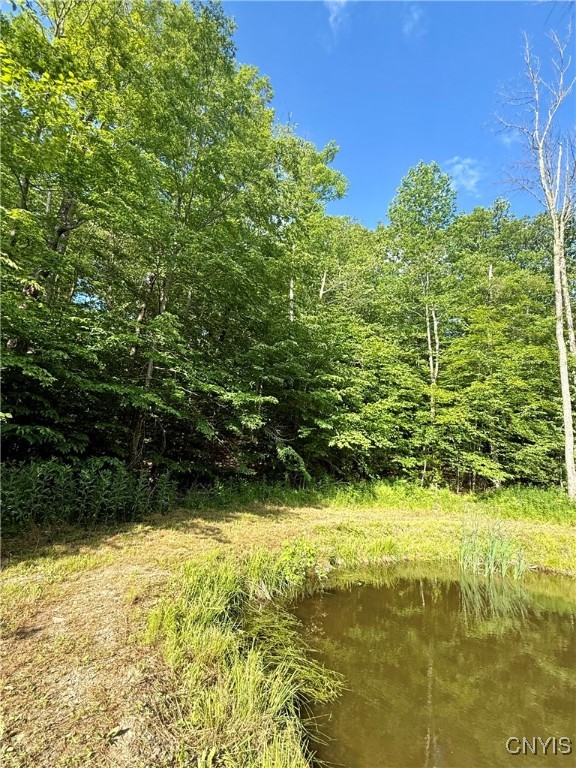 279 Wales Road Sherburne, NY 13460 - Photo 18 of 43