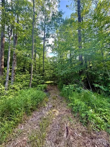 $135,000 | 279 Wales Road, Sherburne, NY 13460