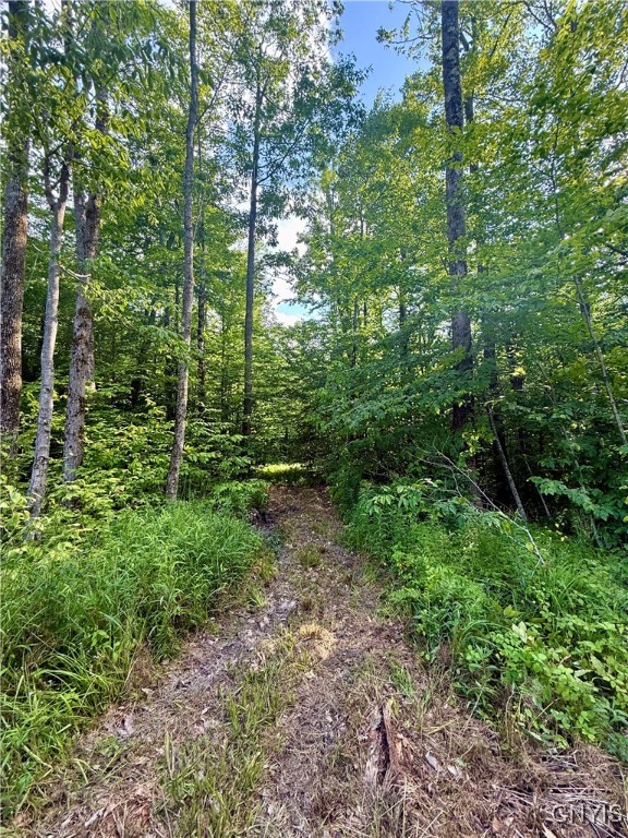 279 Wales Road Sherburne, NY 13460 - Photo 19 of 43