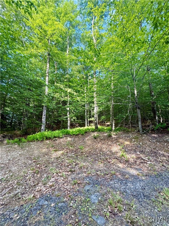 279 Wales Road Sherburne, NY 13460 - Photo 20 of 43