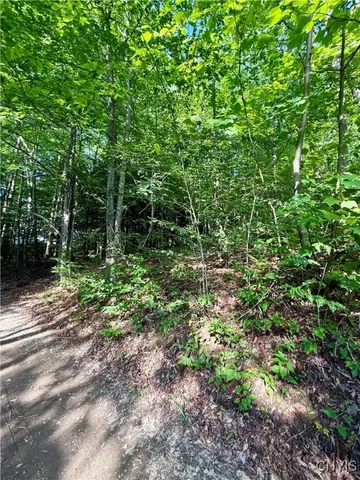 $135,000 | 279 Wales Road, Sherburne, NY 13460