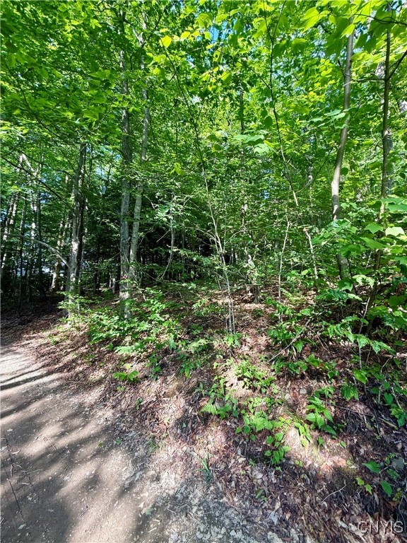 279 Wales Road Sherburne, NY 13460 - Photo 21 of 43