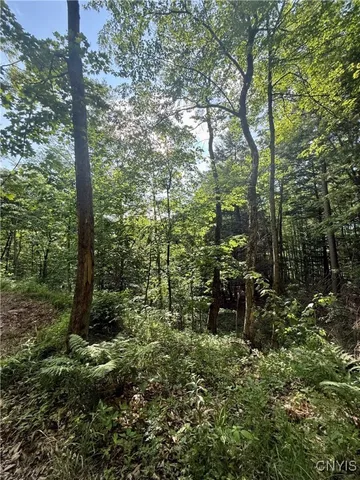 $135,000 | 279 Wales Road, Sherburne, NY 13460