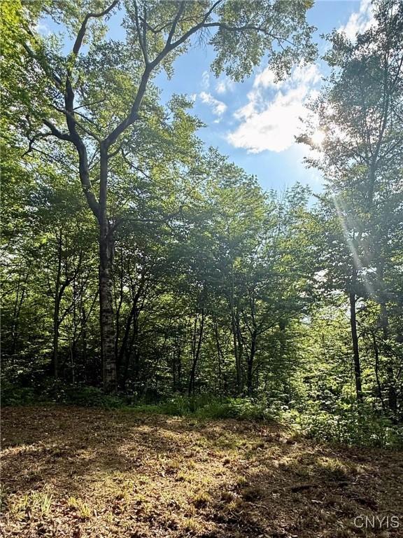 279 Wales Road Sherburne, NY 13460 - Photo 23 of 43