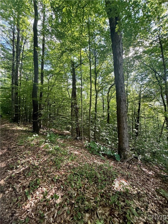 279 Wales Road Sherburne, NY 13460 - Photo 24 of 43