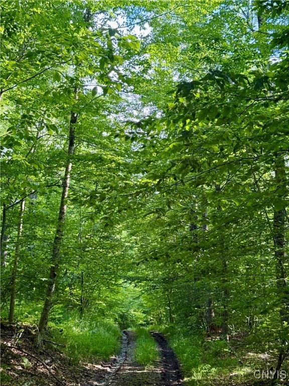 279 Wales Road Sherburne, NY 13460 - Photo 25 of 43