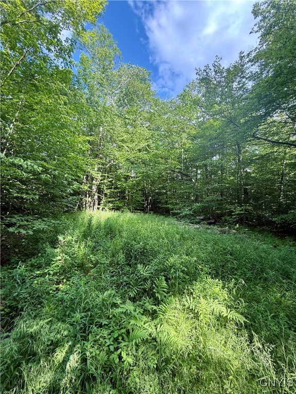 279 Wales Road Sherburne, NY 13460 - Photo 26 of 43