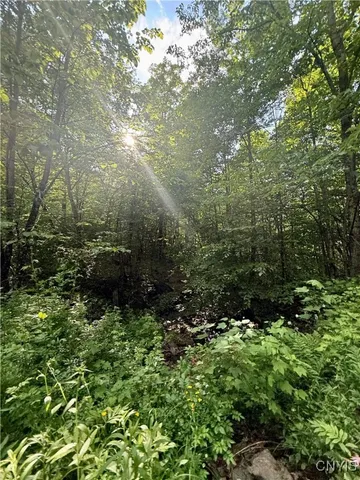 $135,000 | 279 Wales Road, Sherburne, NY 13460